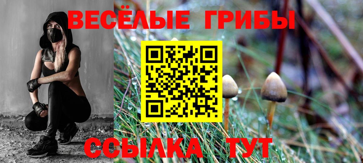 Галлюциногенные грибы прущие грибы  Вход с VPN  Бирск 